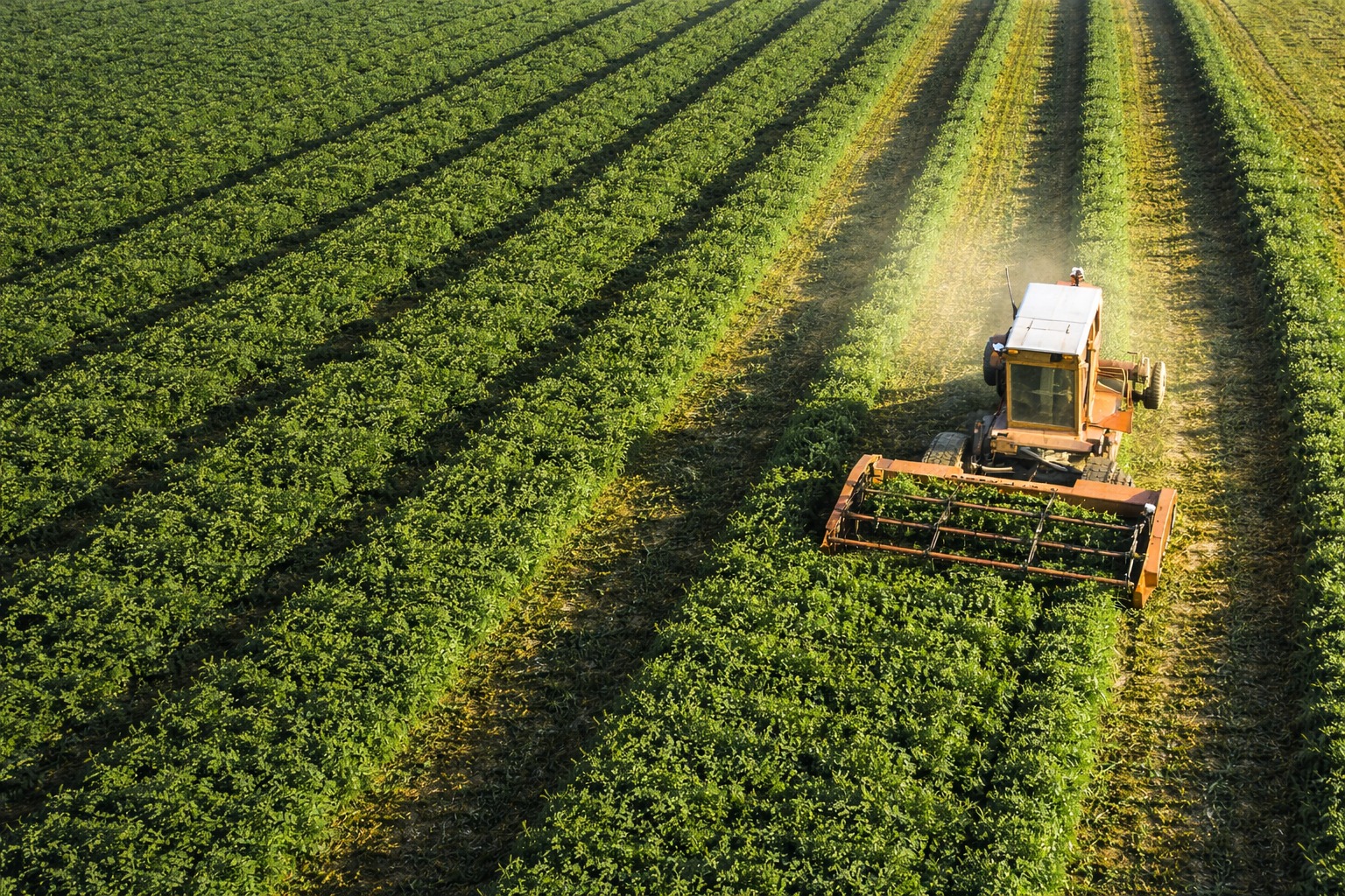 Campos agrícolas con maquinaria cosechadora